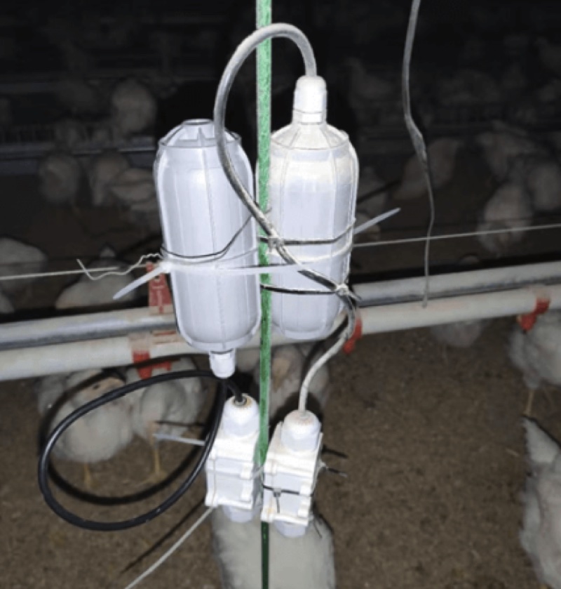 Air monitoring in a livestock barn