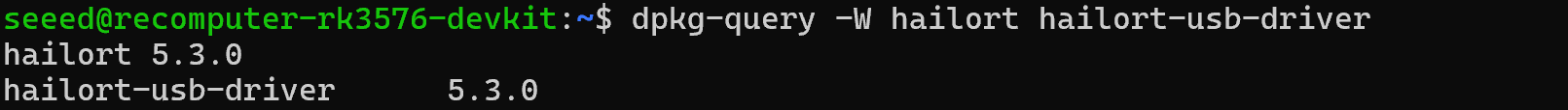 Terminal toont de geïnstalleerde versies van HailoRT en de UGen300 USB-driver