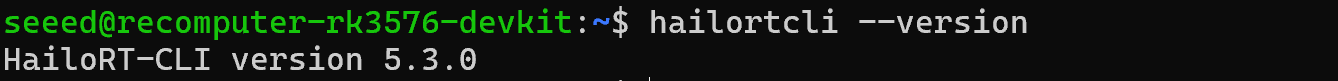 Terminal toont de versie van de HailoRT CLI