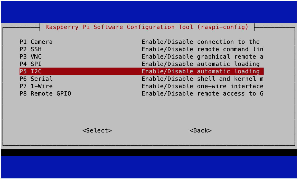 Network options. Raspi config. Advanced interface options. Xcpng Terminal configuration.