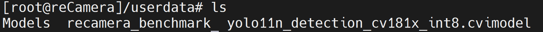 YOLO11n UserData