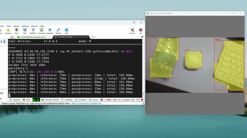 YOLO11n Segmentation Demo