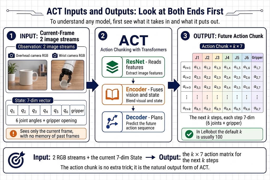 ACT input and output