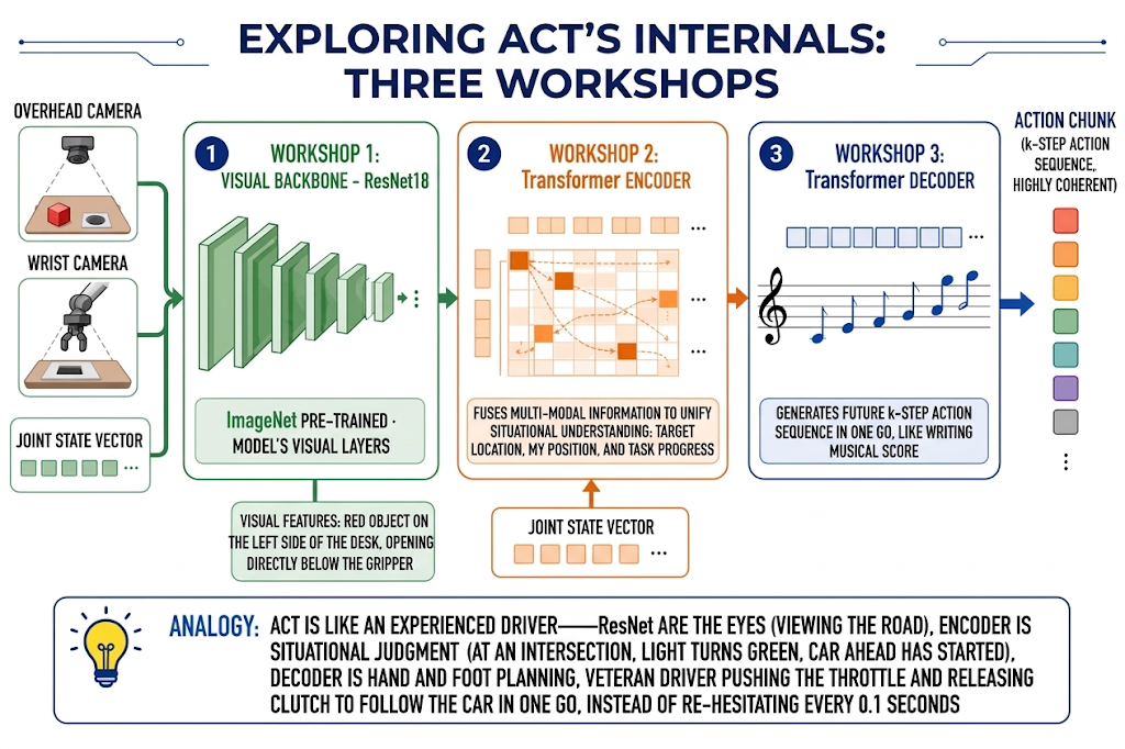 ACT internal structure