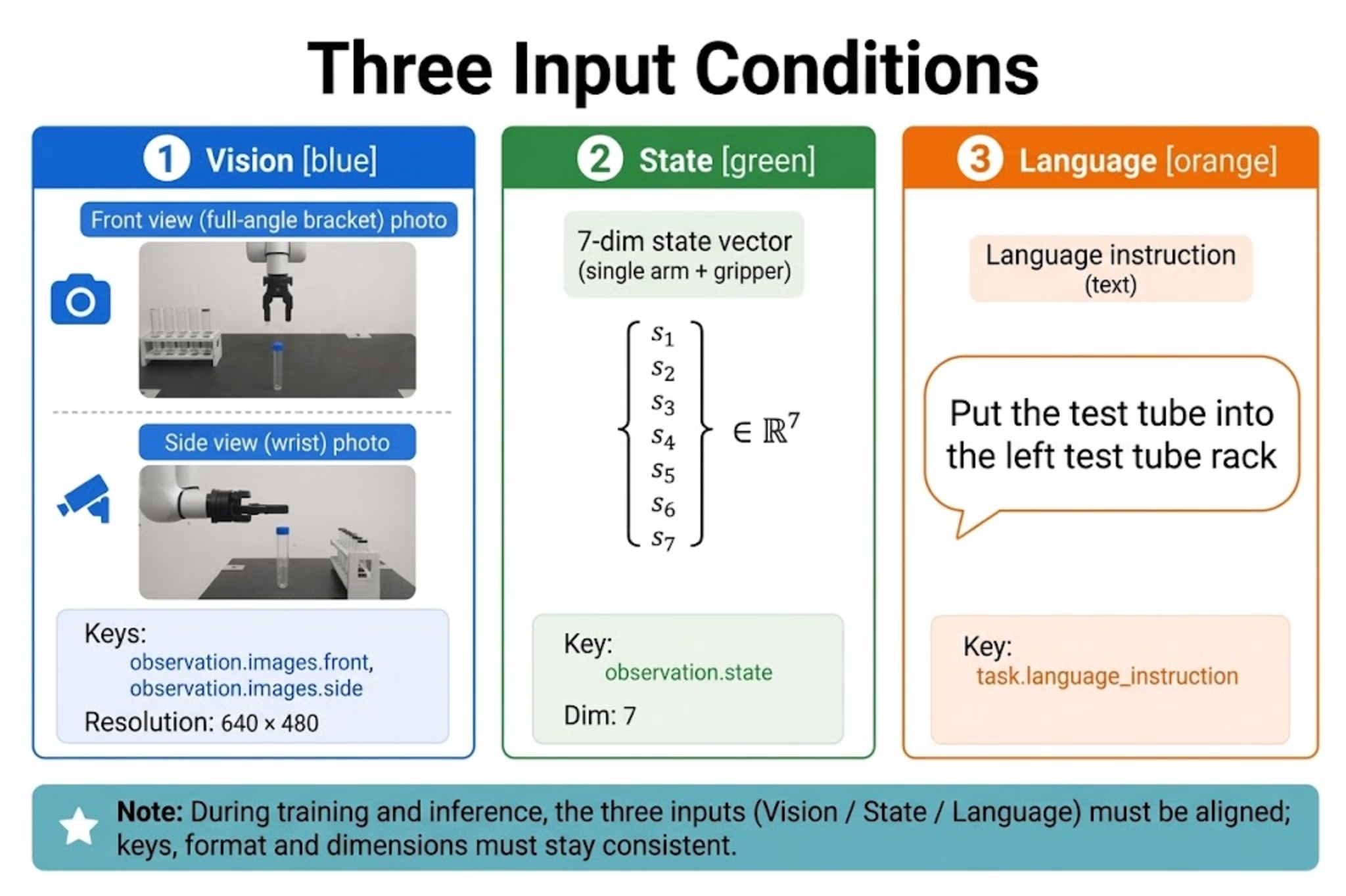 Camera, state, and language inputs
