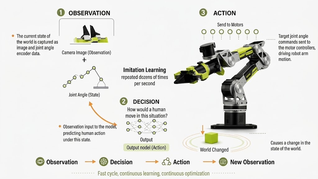 Observation, state, and action